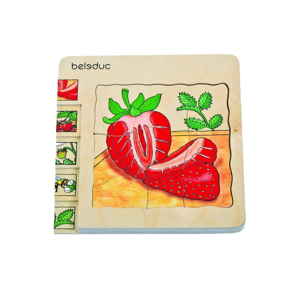 Multilayer Puzzles - Strawberry