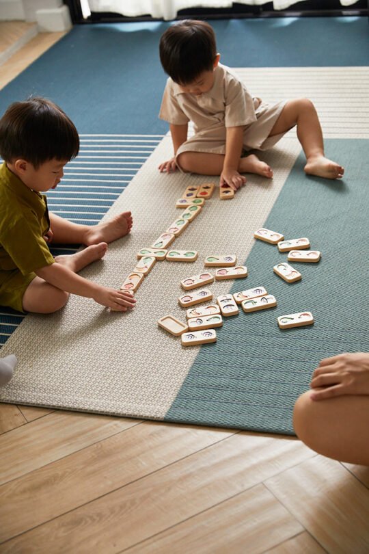 Fruit & Veggie Domino