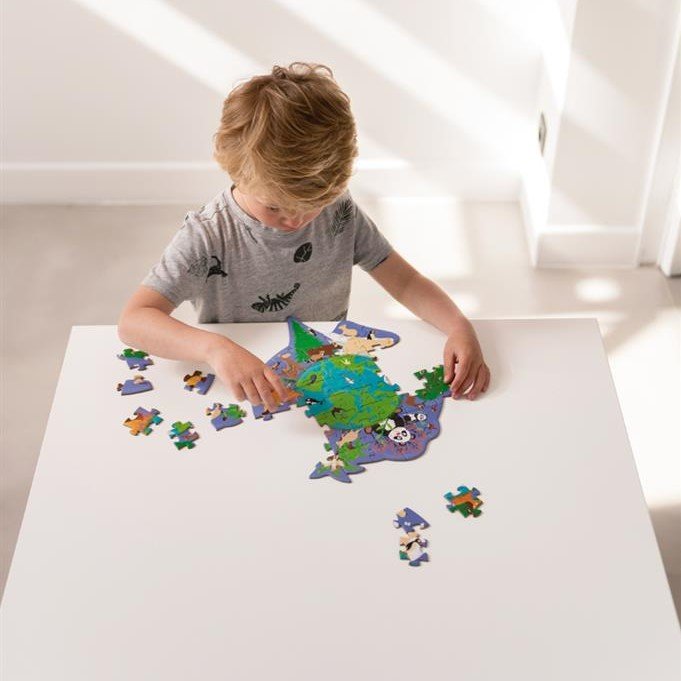 Contour Puzzle - World