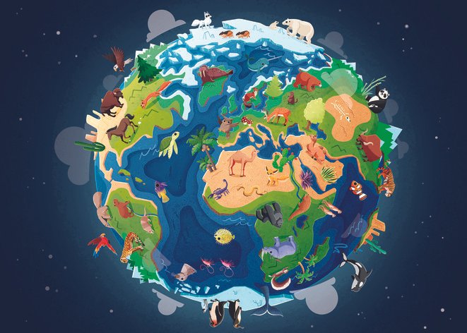 What, How, Why - The Earth